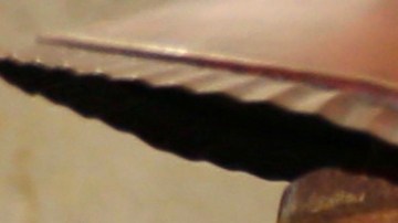 María Conchita Alonso.