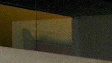 Maribel Guardia y Marco Chacón.