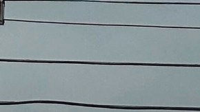 Officials work the scene of a shooting at a Border Patrol facility in McAllen, Texas, Monday, July 7, 2025. (AP Photo/Valerie Gonzalez)