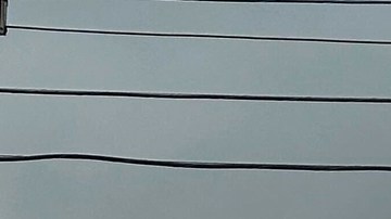 Officials work the scene of a shooting at a Border Patrol facility in McAllen, Texas, Monday, July 7, 2025. (AP Photo/Valerie Gonzalez)