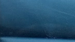 Nadia Ferreira y Marc Anthony se casaron en 2023.