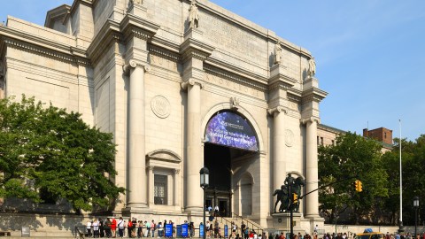 AMNH