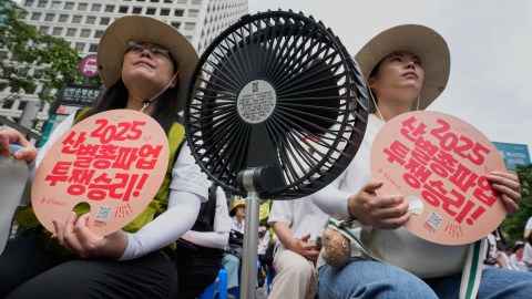 Ola de calor Corea del Sur