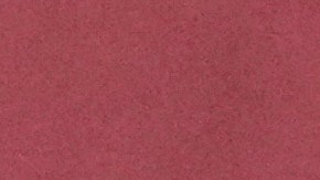 La familia de Ozzy Osbourne ha pedido respeto y privacidad en este proceso.