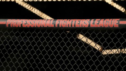 Imagen referencial octágono de MMA.