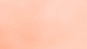 Camilo se presentó por primera vez en Central Park recientemente frente a  unas 5,000 personas.