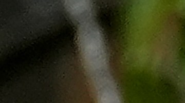 Rosie Roche era prima de los príncipes William y Harry por su familia materna.