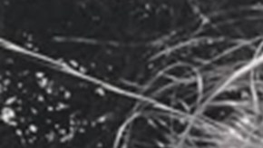 Confirman que hispano Ramiro Antonio Sus Mora acusado de abusar de su sobrina de 6 años está en Colombia