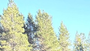 Las autoridades siguen los labores de búsqueda para encontrar a las personas desaparecidas.