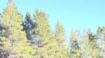 Las autoridades siguen los labores de búsqueda para encontrar a las personas desaparecidas.