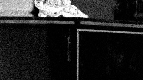 Richard Rodgers murió en diciembre de 1979.