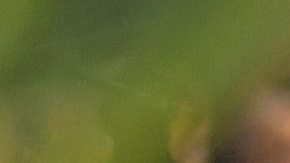 Rihanna tuvo una relación compleja con su padre.