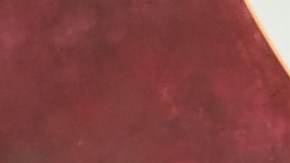 Sarah Paulson le compró esta casa a Emma Roberts.