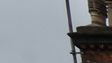 La familia Osbourne se detuvo a ver el homenaje que le hicieron sus fans al músico.