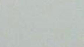 Andrew James McGann se encuentra en Centro de Detención del Condado de Washington sin derecho a fianza.