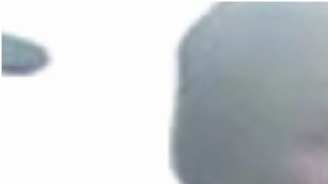 Estos son los sospechosos que patearon a un adulto en silla de ruedas.