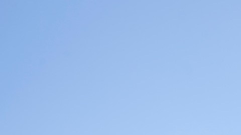SpaceX tiene como principal objetivo iniciar la colonización de Marte en el futuro próximo.