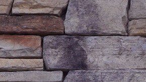 Starbucks ha solicitado a sus empleados corporativos trasladarse a las ciudades de Seattle y Toronto.