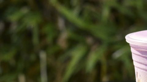 Starbucks trae de regreso un sabor muy popular: frambuesa y solo por la temporada de verano.