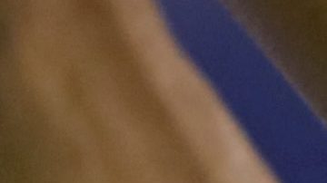 Imagen referencial tenista.