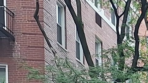 El año pasado, bajo el liderazgo del alcalde Adams, las agencias de vivienda de la ciudad de Nueva York superaron su objetivo común de impulsar 24 proyectos de vivienda asequible en terrenos públicos en 12 meses.