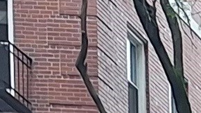 El año pasado, bajo el liderazgo del alcalde Adams, las agencias de vivienda de la ciudad de Nueva York superaron su objetivo común de impulsar 24 proyectos de vivienda asequible en terrenos públicos en 12 meses.