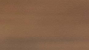 El chef José Andrés revela los trucos para una carne más gustosa.