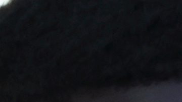 Marc Cucurella y jugadores del Chelsea junto a Donald Trump.