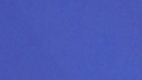 Yailin La Más Viral, cantante dominicana.