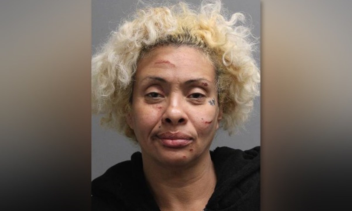 Mujer lanzó su auto sobre otra en un centro comercial en Nueva York: sentencia por furia vial