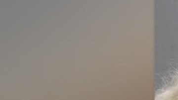 Philomena Mistretta.