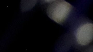 Ben Askren durante su victoria sobre Robbie Lawler en el UFC 235 de 2019.