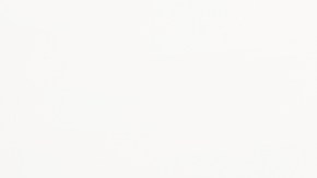 bebes-nacidos-apoyo-economico-trump