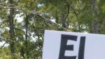 Activistas de inmigración y familiares de detenidos asisten a una conferencia de prensa y una manifestación frente a la entrada del centro de detención Alligator Alcatraz, en la Reserva Nacional Big Cypress, Ochopee, Florida, EE. UU., el 22 de julio de 2025.