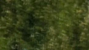 cancelar-membresia-walmart-plus