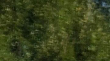 cancelar-membresia-walmart-plus