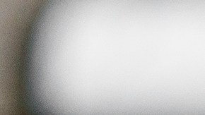 El cliente decidió visitar un restaurante especializado en carnes, a la espera de encontrar un menú vegano.