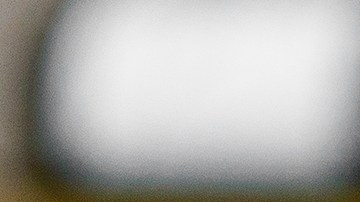 El cliente decidió visitar un restaurante especializado en carnes, a la espera de encontrar un menú vegano.