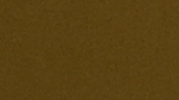 Jugadores del Borussia Dortmund celebran el gol de Guirassy ante la mirada de Monterrey.