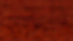 cheque-de-estimulo-tarifas-trump