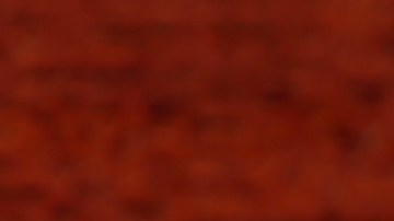 cheque-de-estimulo-tarifas-trump