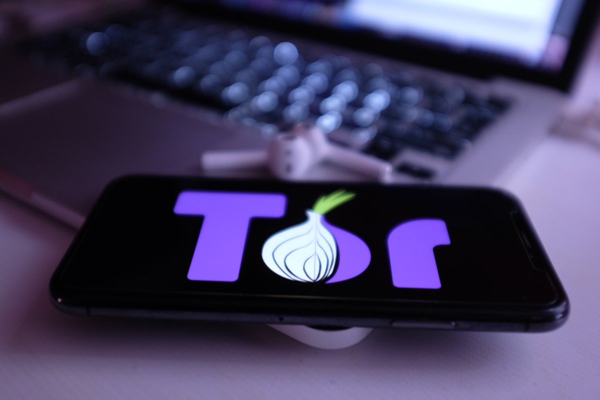 Tor', el nuevo sistema para navegar en internet de forma anónima: cómo funciona