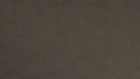 Lo que no debe hacer un copiloto