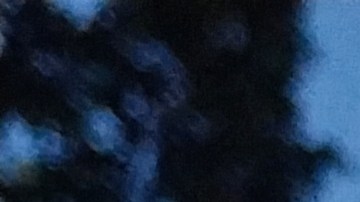 costco-comprar-sin-membresia