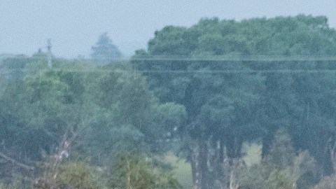 La vertiginosa crecida del río Guadalupe provocó catastróficas inundaciones que azotaron el centro del estado de Texas.