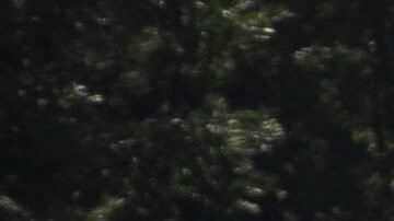 Accidente de Diogo Jota.