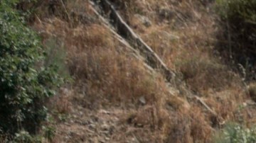 El lugar exacto donde se accidentó el auto de Diogo Jota, en una carretera de España.