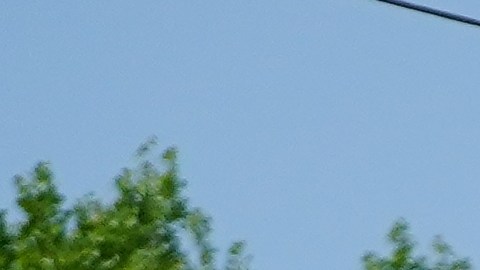 dollar-general-clientes-promocion