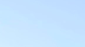 dollar-tree-julio-2025-aumento-de-precio