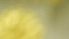 ¿Joe Biden firmó indultos sin saberlo? Donald Trump cuestionó su lucidez